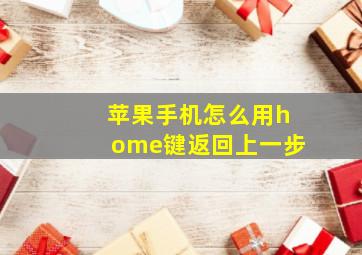 苹果手机怎么用home键返回上一步