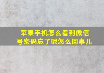 苹果手机怎么看到微信号密码忘了呢怎么回事儿