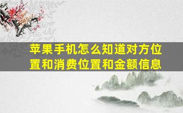 苹果手机怎么知道对方位置和消费位置和金额信息