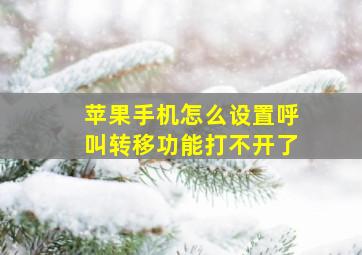 苹果手机怎么设置呼叫转移功能打不开了