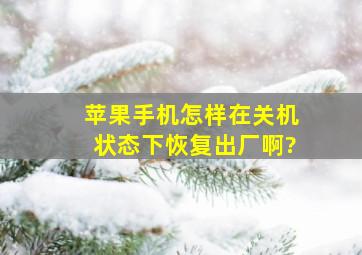 苹果手机怎样在关机状态下恢复出厂啊?