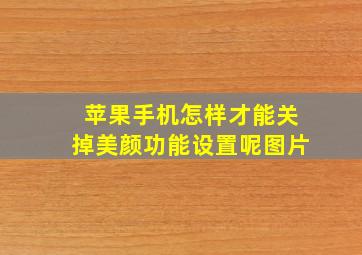 苹果手机怎样才能关掉美颜功能设置呢图片