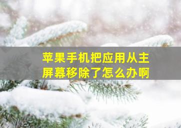 苹果手机把应用从主屏幕移除了怎么办啊