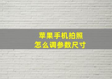 苹果手机拍照怎么调参数尺寸