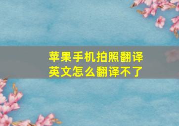 苹果手机拍照翻译英文怎么翻译不了