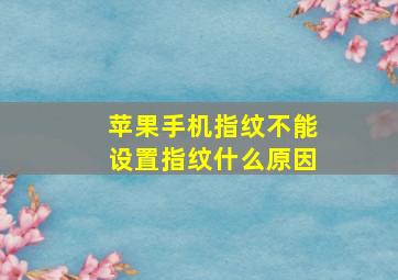 苹果手机指纹不能设置指纹什么原因