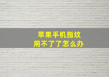 苹果手机指纹用不了了怎么办