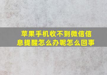 苹果手机收不到微信信息提醒怎么办呢怎么回事