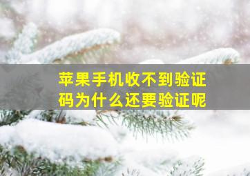 苹果手机收不到验证码为什么还要验证呢