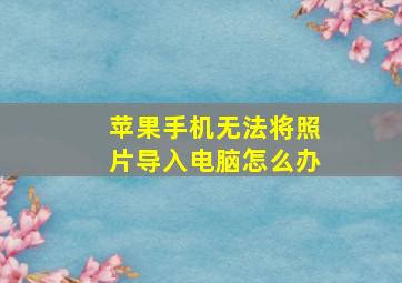 苹果手机无法将照片导入电脑怎么办