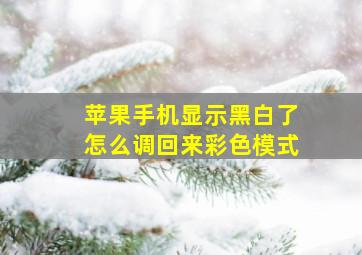 苹果手机显示黑白了怎么调回来彩色模式