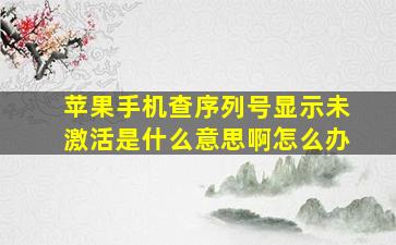 苹果手机查序列号显示未激活是什么意思啊怎么办