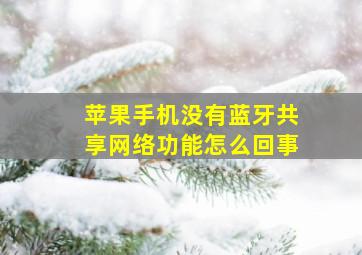 苹果手机没有蓝牙共享网络功能怎么回事