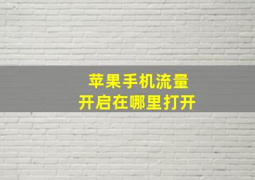 苹果手机流量开启在哪里打开