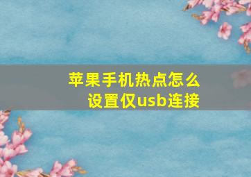 苹果手机热点怎么设置仅usb连接