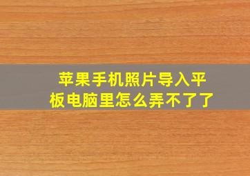 苹果手机照片导入平板电脑里怎么弄不了了