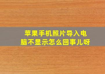 苹果手机照片导入电脑不显示怎么回事儿呀