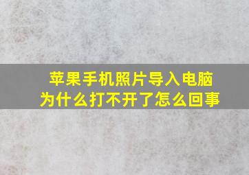 苹果手机照片导入电脑为什么打不开了怎么回事