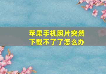 苹果手机照片突然下载不了了怎么办