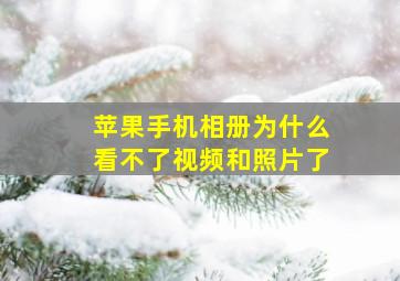 苹果手机相册为什么看不了视频和照片了