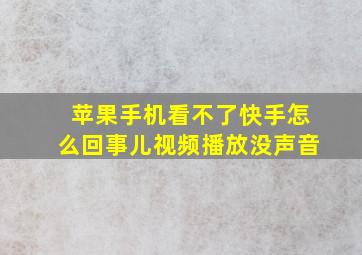 苹果手机看不了快手怎么回事儿视频播放没声音