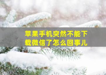 苹果手机突然不能下载微信了怎么回事儿