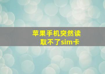 苹果手机突然读取不了sim卡