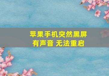 苹果手机突然黑屏有声音 无法重启