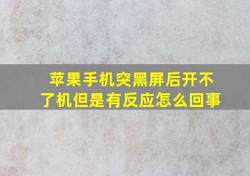 苹果手机突黑屏后开不了机但是有反应怎么回事