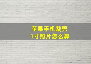 苹果手机裁剪1寸照片怎么弄