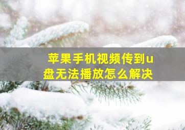 苹果手机视频传到u盘无法播放怎么解决