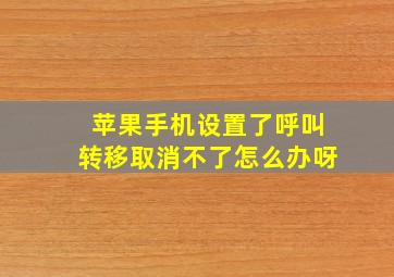 苹果手机设置了呼叫转移取消不了怎么办呀