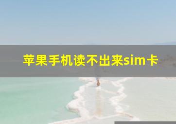 苹果手机读不出来sim卡