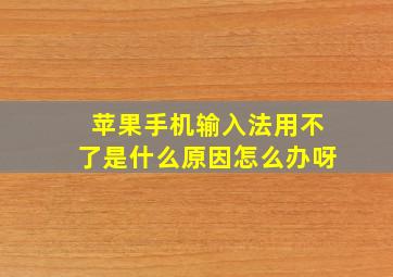 苹果手机输入法用不了是什么原因怎么办呀