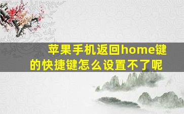 苹果手机返回home键的快捷键怎么设置不了呢