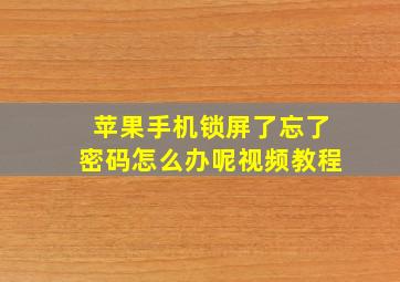 苹果手机锁屏了忘了密码怎么办呢视频教程