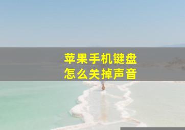 苹果手机键盘怎么关掉声音