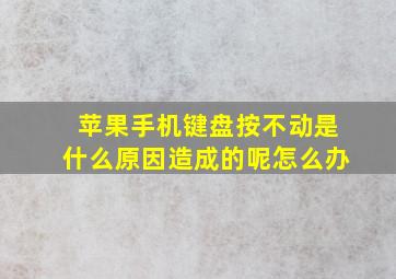 苹果手机键盘按不动是什么原因造成的呢怎么办