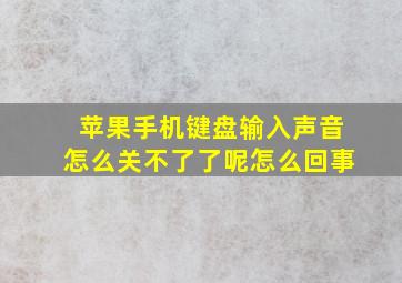 苹果手机键盘输入声音怎么关不了了呢怎么回事