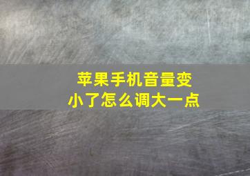 苹果手机音量变小了怎么调大一点