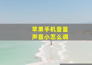 苹果手机音量声音小怎么调