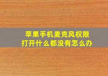 苹果手机麦克风权限打开什么都没有怎么办