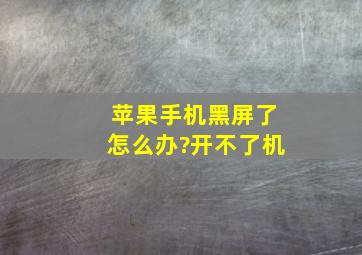 苹果手机黑屏了怎么办?开不了机