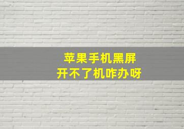 苹果手机黑屏开不了机咋办呀