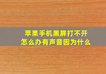 苹果手机黑屏打不开怎么办有声音因为什么