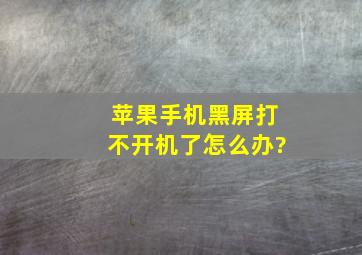 苹果手机黑屏打不开机了怎么办?