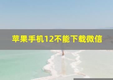 苹果手机12不能下载微信