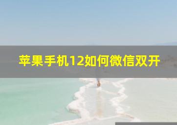 苹果手机12如何微信双开