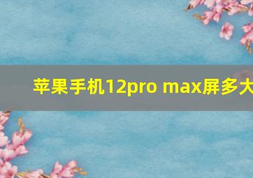 苹果手机12pro max屏多大