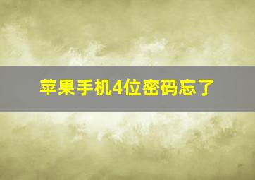 苹果手机4位密码忘了